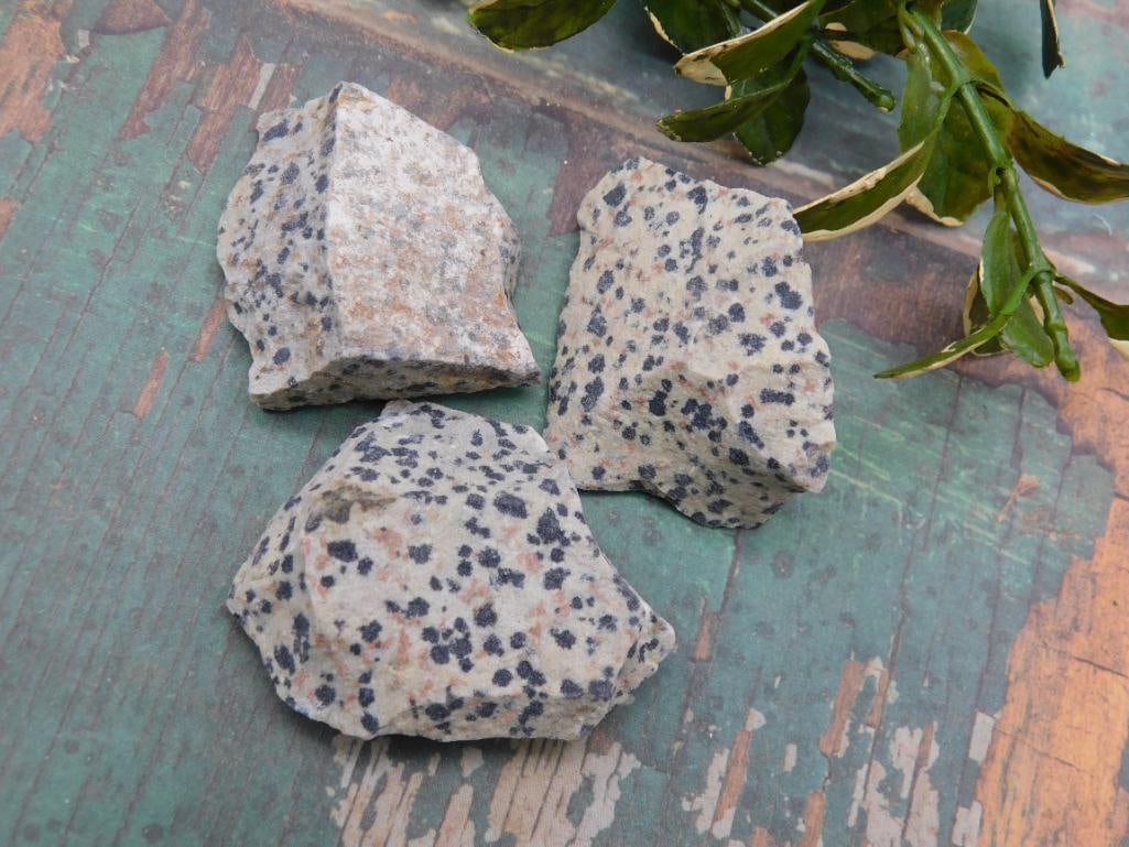 DALMATION JASPER ROCK STONE LAPIDARY SPECIMEN: DALMATION JASPER ROCK STONE LAPIDARY SPECIMEN
