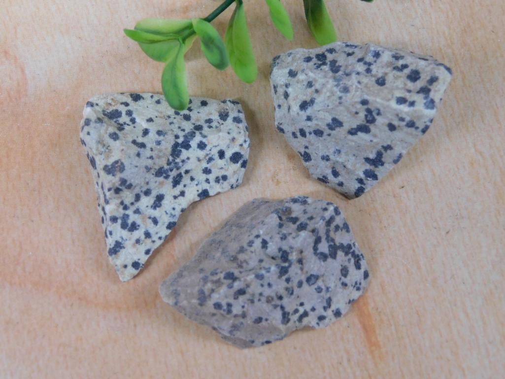 DALMATION JASPER ROCK STONE LAPIDARY SPECIMEN: DALMATION JASPER ROCK STONE LAPIDARY SPECIMEN