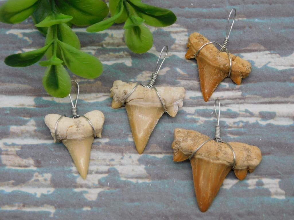 SHARK TEETH PENDANTS ROCK STONE LAPIDARY SPECIMEN: SHARK TEETH PENDANTS ROCK STONE LAPIDARY SPECIMEN
