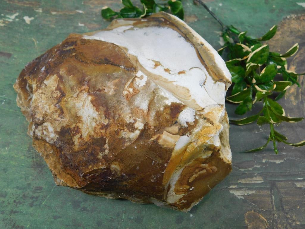 JASPER ROCK STONE LAPIDARY SPECIMEN: JASPER ROCK STONE LAPIDARY SPECIMEN