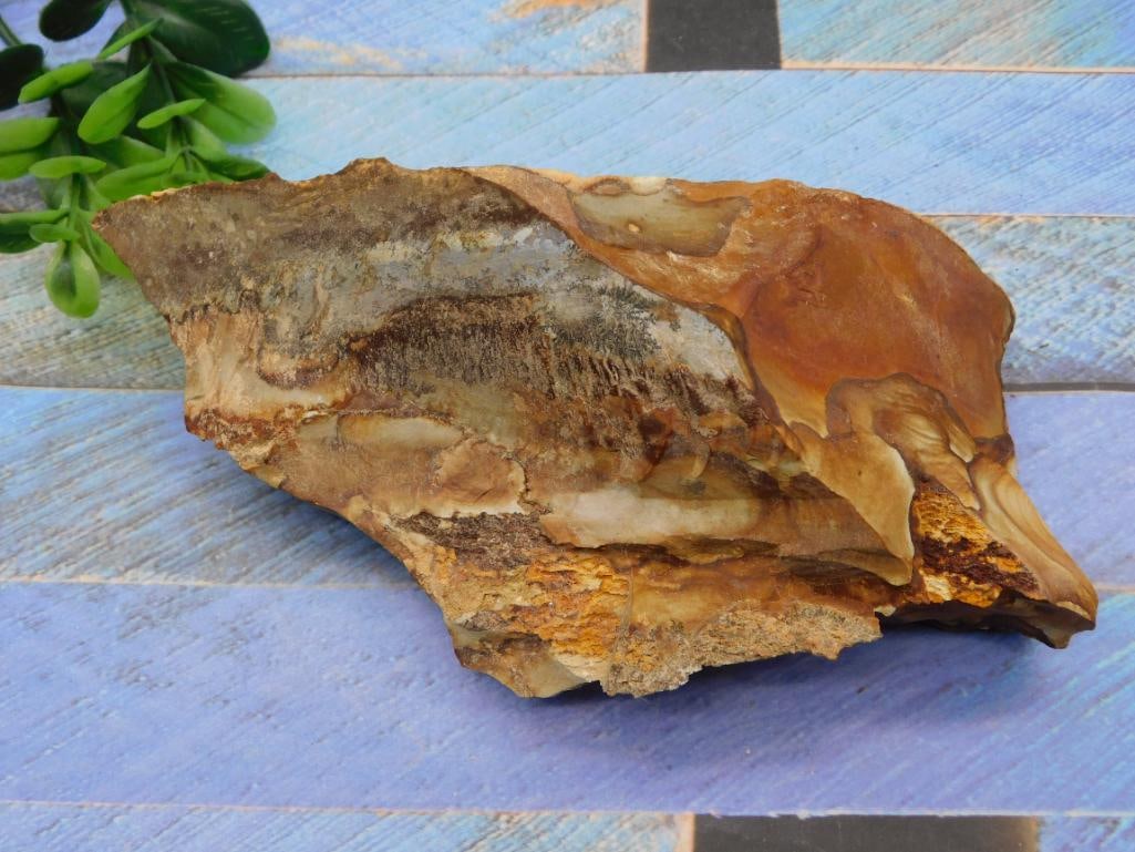 JASPER ROCK STONE LAPIDARY SPECIMEN: JASPER ROCK STONE LAPIDARY SPECIMEN