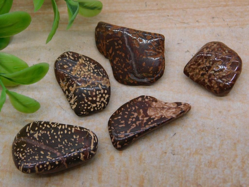 STARBURST JASPER ROCK STONE LAPIDARY SPECIMEN: STARBURST JASPER ROCK STONE LAPIDARY SPECIMEN