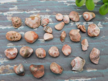 THOMPSONITE ROCK STONE LAPIDARY SPECIMEN