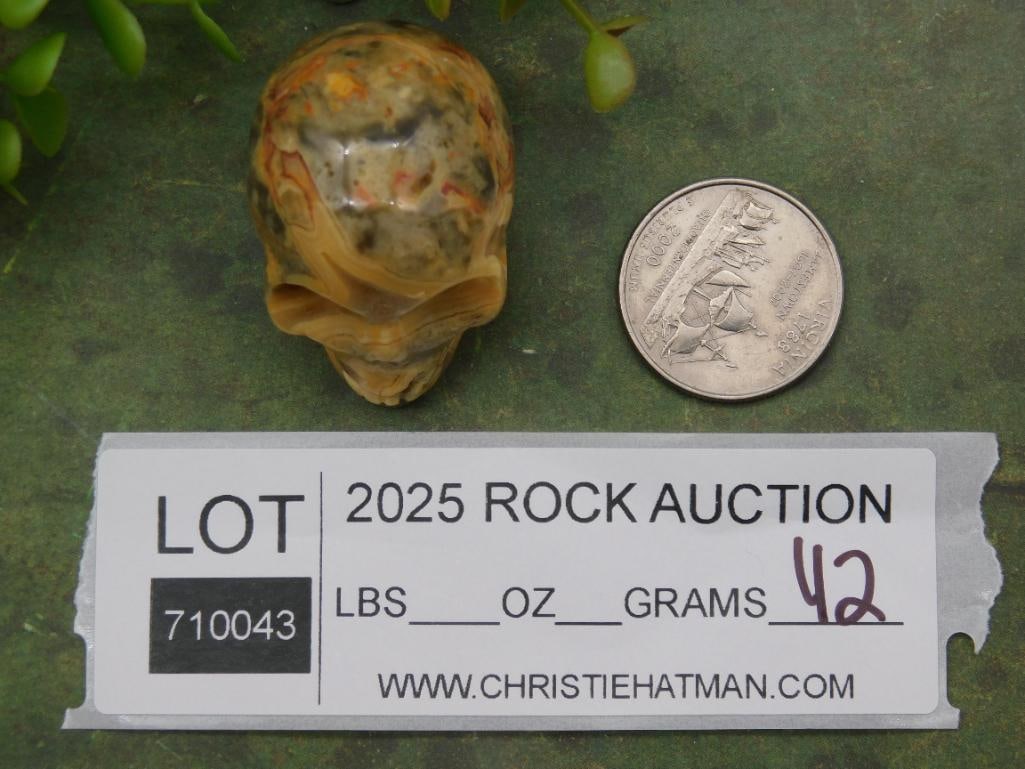 CRAZY LACE Stone Skull Figurine With Variegated Patterns ROCK STONE LAPIDARY SPECIMEN: CRAZY LACE Stone Skull Figurine With Variegated Patterns ROCK STONE LAPIDARY SPECIMEN