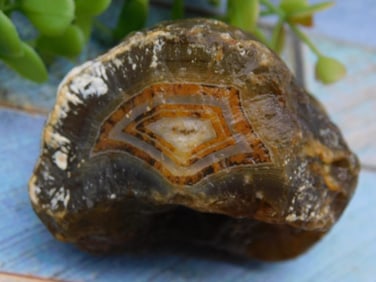 Brazilian Agate Specimen With Banding Patterns ROCK STONE LAPIDARY SPECIMEN