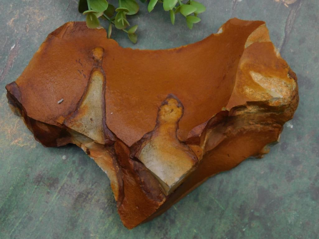 Jasper Stone Specimen for Collectors ROCK STONE LAPIDARY SPECIMEN: Jasper Stone Specimen for Collectors ROCK STONE LAPIDARY SPECIMEN