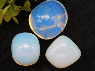 Three Opalite Stones ROCK STONE LAPIDARY SPECIMEN