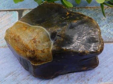 Black Skin Agate ROCK STONE LAPIDARY SPECIMEN