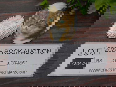 Oval Porcelain Cat Portrait Cabochon