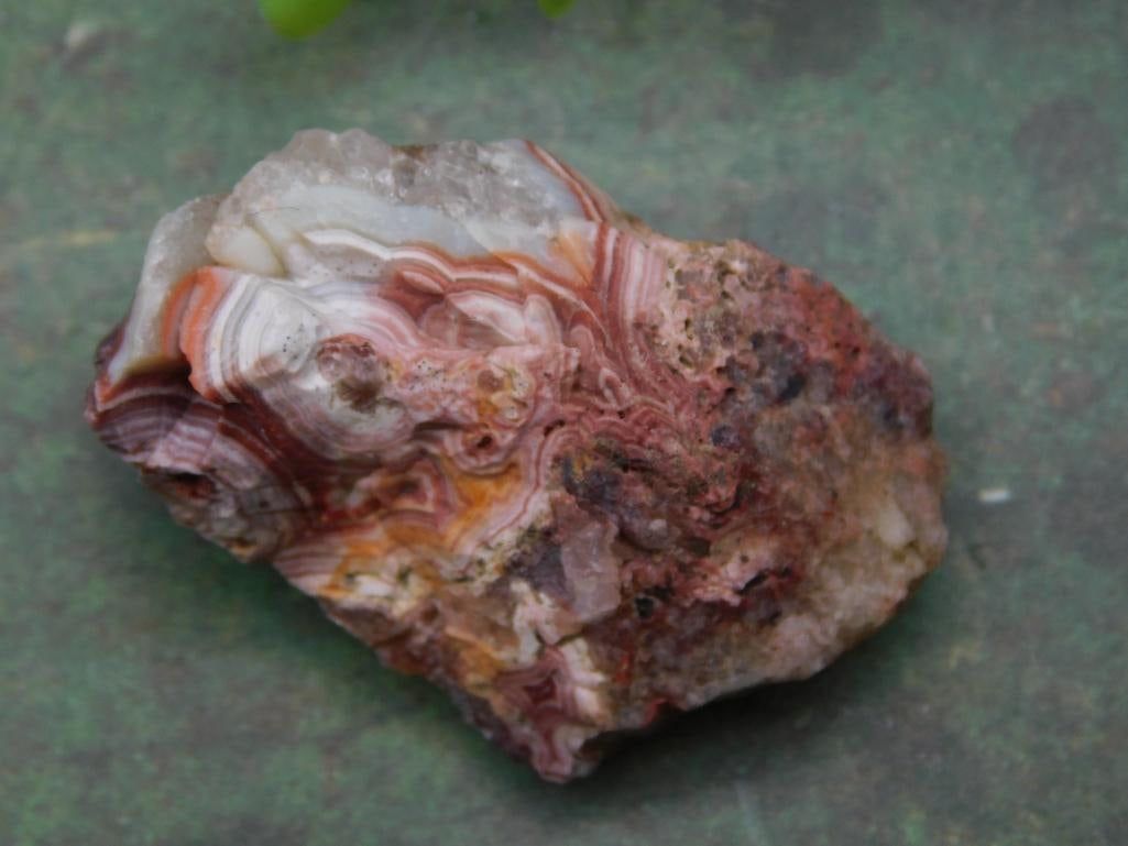 Rough Agate Specimen from Rock Auction Lot Rock Stone Lapidary Specimen: Rough Agate Specimen from Rock Auction Lot Rock Stone Lapidary Specimen