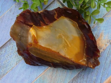 Multicolored Agate Rock Specimen Rock Stone Lapidary Specimen