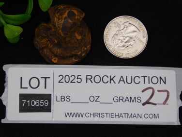 Calligraphy Stone Cobra State Rock Stone Lapidary Specimen