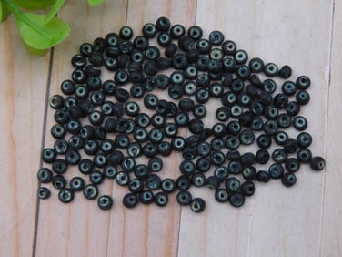 Stone Beads Rock Stone Lapidary Specimen