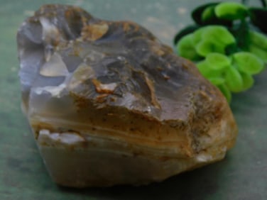 Rock Stone Lapidary Specimen