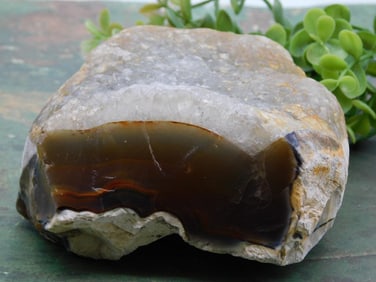 Brazilian Agate Rock Stone Lapidary Specimen