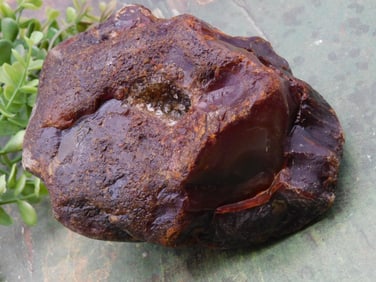 Brazilian Agate Rock Stone Lapidary Specimen