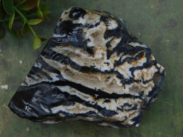 Zebra Rock Stone Lapidary Specimen
