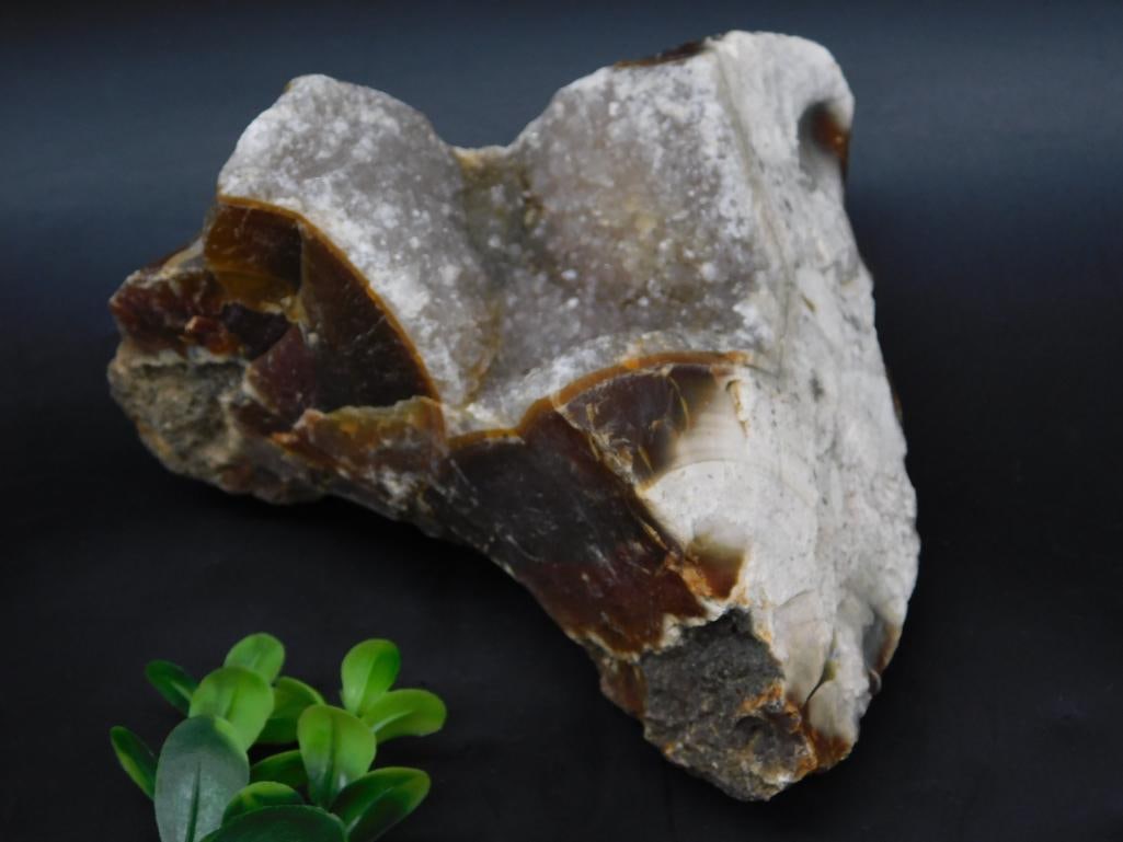 Brazilian Agate ROCK STONE LAPIDARY SPECIMEN: Brazilian Agate ROCK STONE LAPIDARY SPECIMEN