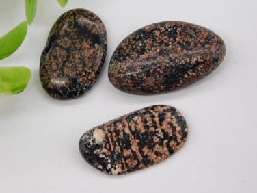 Starburst Jasper ROCK STONE LAPIDARY SPECIMEN