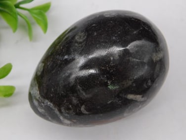 Orthoceras Fossil Rock Stone Lapidary Specimen