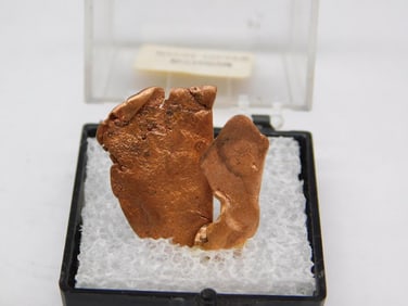 Native Copper Specimen in Display Case from Michigan Rock Stone Lapidary Specimen