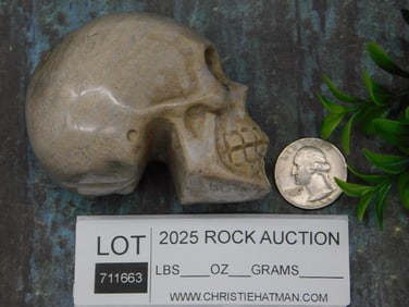 Carved Stone Skull Sculpture Rock Stone Lapidary Specimen