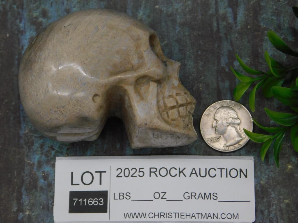 Carved Stone Skull Sculpture Rock Stone Lapidary Specimen: Carved Stone Skull Sculpture Rock Stone Lapidary Specimen