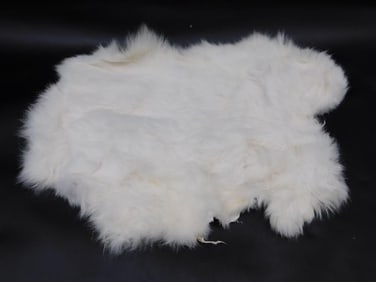 RABBIT PELT VINTAGE TAXIDERMY
