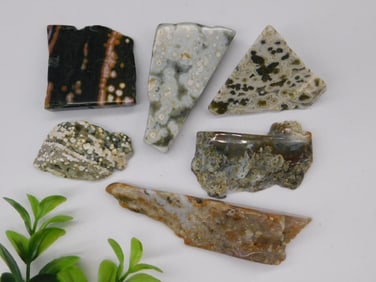 OCEAN JASPER PIECES ROCK STONE LAPIDARY SPECIMEN