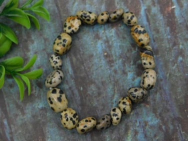 DALMATION JASPER STRETCH BRACELET ROCK STONE LAPIDARY SPECIMEN