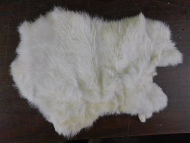 WHITE RABBIT HIDE TAXIDERMY