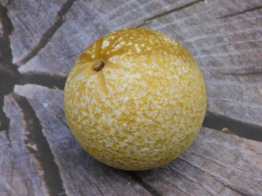 ITALIAN ALABASTER ORANGE VINTAGE ANTIQUE