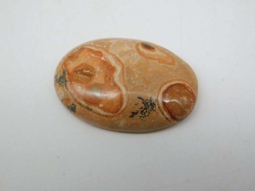 FOSSIL STONE CABOCHON ROCK STONE LAPIDARY SPECIMEN: FOSSIL STONE CABOCHON ROCK STONE LAPIDARY SPECIMEN