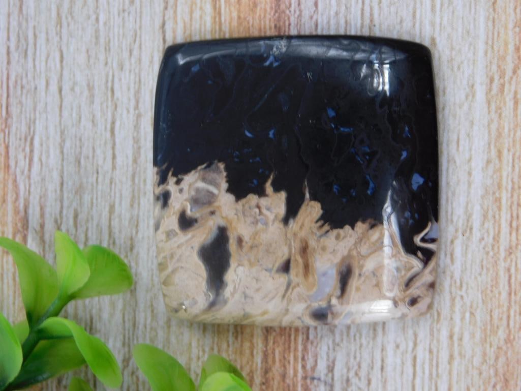 PETRIFIED PALM WOOD CABOCHON ROCK STONE LAPIDARY SPECIMEN: PETRIFIED PALM WOOD CABOCHON ROCK STONE LAPIDARY SPECIMEN