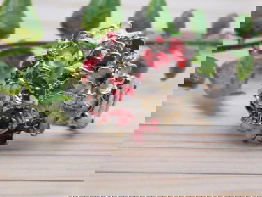 GENUINE STONE RING ROCK STONE LAPIDARY SPECIMEN