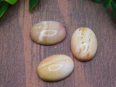 CABOCHONS ROCK STONE LAPIDARY SPECIMEN