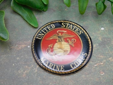 UNITED STATES MARINE CORPS CABOCHON ROCK STONE LAPIDARY SPECIMEN