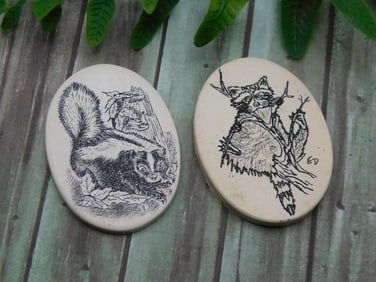 SCRIMSHAW CABOCHONS ROCK STONE LAPIDARY SPECIMEN