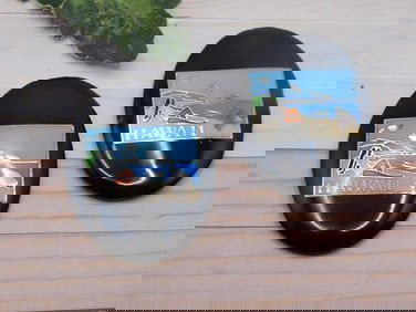 HAWAII CABOCHONS ROCK STONE LAPIDARY SPECIMEN