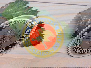 NRA CABOCHON ROCK STONE LAPIDARY SPECIMEN