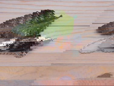 MIXED STONE PENDULUM ROCK STONE LAPIDARY SPECIMEN