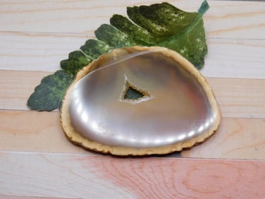 AGATE SLICE ROCK STONE LAPIDARY SPECIMEN