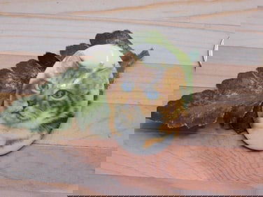 CAT CABOCHON ROCK STONE LAPIDARY SPECIMEN