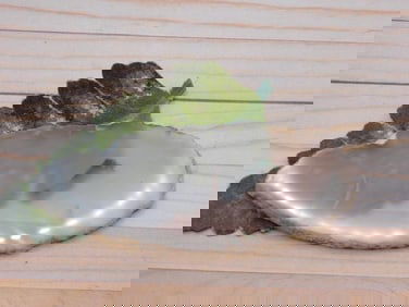 AGATE SLICE ROCK STONE LAPIDARY SPECIMEN