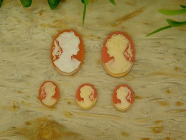 CAMEO CABOCHONS ROCK STONE LAPIDARY SPECIMEN