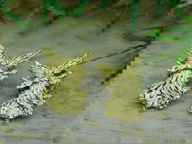 ANGEL PINS ROCK STONE LAPIDARY SPECIMEN