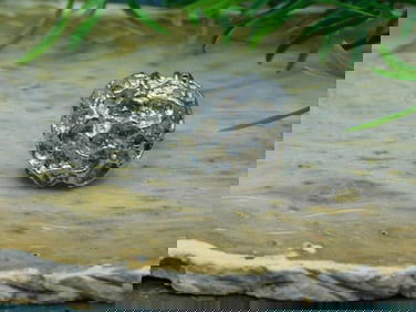 SILVER CLUSTER RING ROCK STONE LAPIDARY SPECIMEN