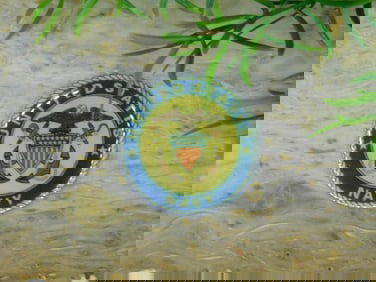 UNITED STATES NAVY CABOCHON ROCK STONE LAPIDARY SPECIMEN