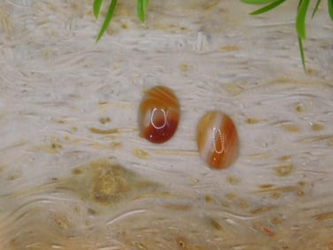 BANDED CARNELIAN CABOCHONS ROCK STONE LAPIDARY SPECIMEN