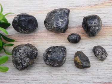 APACHE TEARS ROCK STONE LAPIDARY SPECIMEN